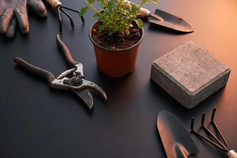 landscaping company - Service path