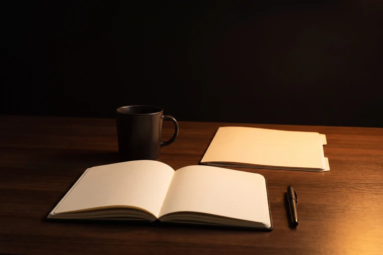 therapists and private practices - Teletherapy context